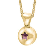 18ct Yellow Gold Blue John Star Disc Necklace