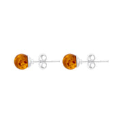 Sterling Silver Cognac Amber 6mm Ball Stud Earrings E1751_C