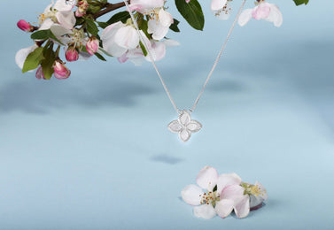 9ct White Gold White Mother of Pearl Eden Large Marquise Flower Necklace