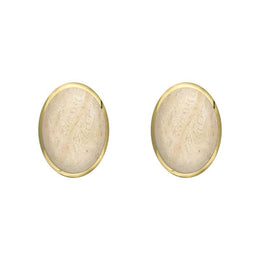 9ct Yellow Gold Coquina 7 x 5mm Classic Small Oval Stud Earrings, E005.