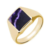 9ct Yellow Gold Blue John Oblong Signet Ring R181